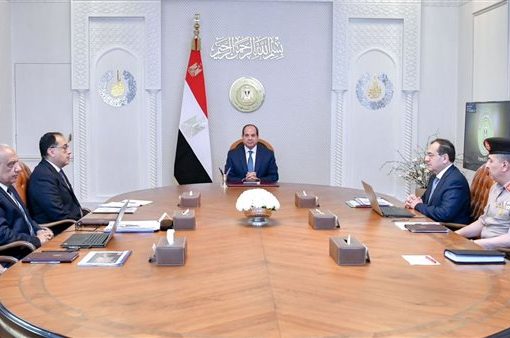 السيسي يوجه بالإدارة المثالية للثروة المعدنية والمواد الخام في مصر