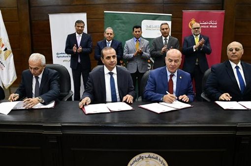 «الرياضة» تتعاون مع 3 بنوك لتمويل المشروعات الاستثمارية بمراكز الشباب