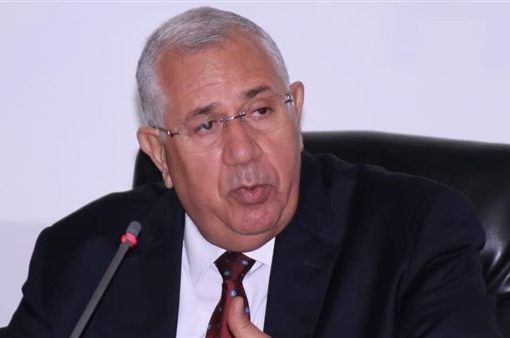وزير الزراعة يعتمد الموازنة التقديرية للشركة القابضة لاستصلاح الأراضي خلال 2023-2024