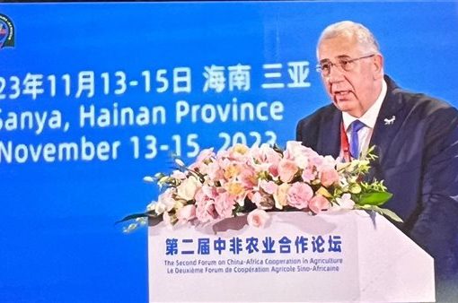 «القصير» : 8 محاور لدعم التعاون الصيني الأفريقي في مجال الزراعة