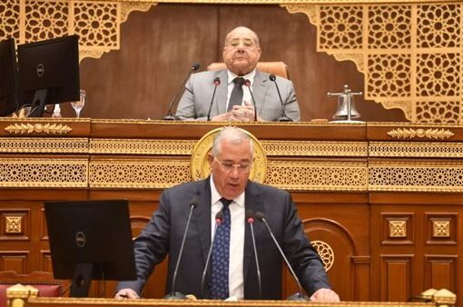الصادرات الزراعية المصرية تسجل 9 مليارات دولار خلال 2023