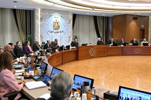 مجلس الوزراء يحدد سعر ضمان توريد القطن لموسم 2024-2025