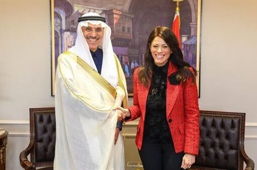 «المشاط»: 21 مليار دولار تمويلات مجموعة البنك الإسلامي لـ382 مشروع في مصر