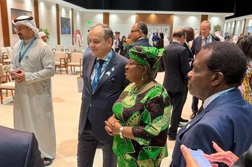 وزير الصناعة يشارك بجلسة دعم مصايد الأسماك خلال مؤتمر منظمة التجارة العالمية