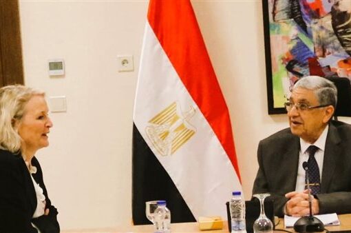 وزير الكهرباء يبحث سبل تعزيز التعاون مع مفوضية الطاقة الأوروبية