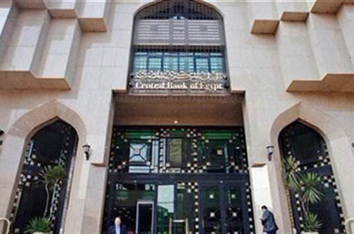 مبادرة”رواد النيل” توفر 430 ألف خدمة غير مالية لأكثر من 147 ألف مشروع من خلال 110 مركز لتطوير الأعمال