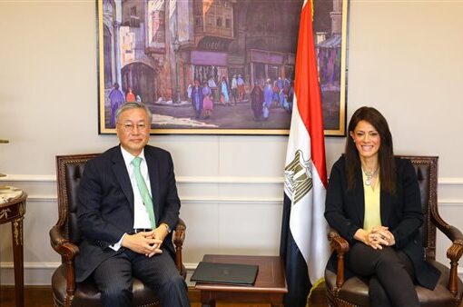 وزيرة التعاون الدولي تبحث زيادة استثمارات الشركات الكورية في تنفيذ المشروعات بمصر