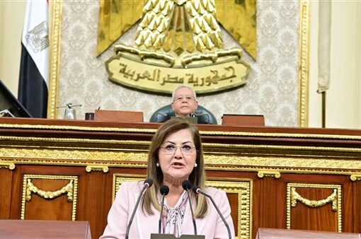 «التخطيط»: 179 مليار جنيه استثمارات أنشطة الزراعة والري خلال العام المالي القادم