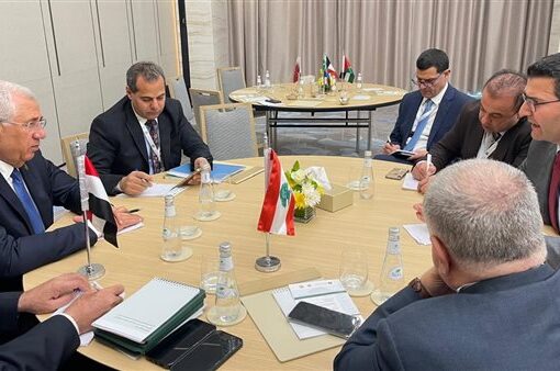 وزيرا الزراعة في مصر ولبنان يبحثان تعزيز التعاون المشترك