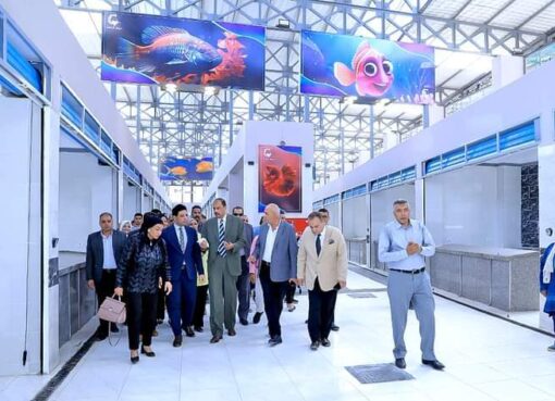 محافظ سوهاج يفتتح سوق السمك الجديد بحي غرب سوهاج