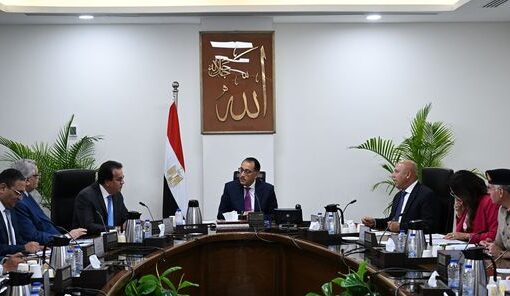 رئيس الوزراء يتابع إجراءات حوكمة منظومة توزيع ألبان الأطفال الصناعية المدعمة وسبل زيادة الإنتاج