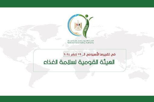 بالإنفوجراف … المركز الإعلامي للهيئة القومية لسلامة الغذاء يصدر تقريره الأسبوعي الــ 29 لعام 2024