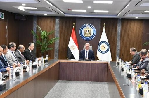 «البترول» تشكل لجنة استشارية لزيادة إنتاج الحقول و إدارة خزانات النفط