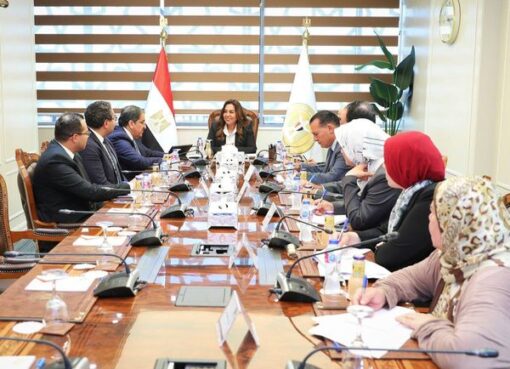 وزيرة التنمية المحلية تبحث مع رئيس شركة ( إي فاينانس) ملفات التعاون المشترك