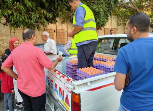 الزراعة: “قطاع الثروة الحيوانية” يطلق منافذ متحركة لبيع بيض المائدة بأسعار مخفضة للمواطنين