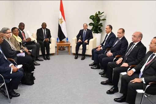 الرئيس السيسى ونظيره الجنوب أفريقى يؤكدان مواصلة التعاون لتحقيق مصالح الشعوب الأفريقية