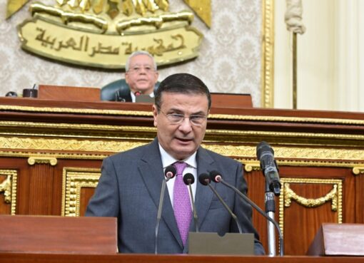 وزير الزراعة أمام الجلسة العامة لمجلس النواب: تم استنباط أكثر من ٦٠ صنف وهجين للمحاصيل الاستراتيجية لتحسين الإنتاجية