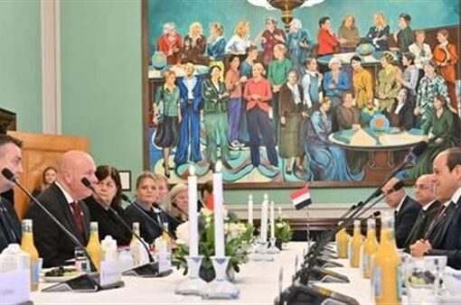 الرئيس السيسي يؤكد حرص مصر على تعزيز العلاقات البرلمانية مع الدنمارك