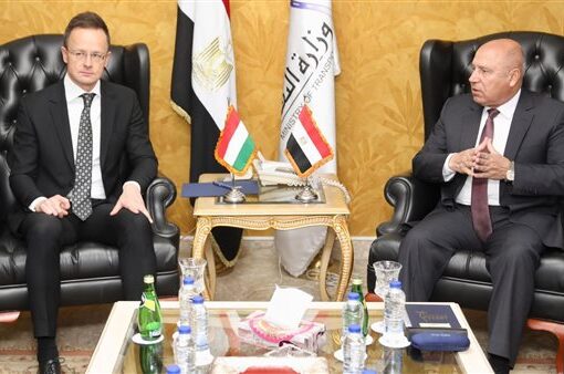 مصر والمجر تبحثان تعزيز التعاون المشترك بمجالي الصناعة والنقل