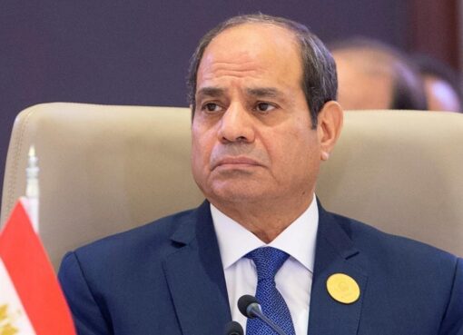الرئيس السيسي يؤكد إستعداد مصر للمشاركة في جهود التنمية بغينيا الاستوائية