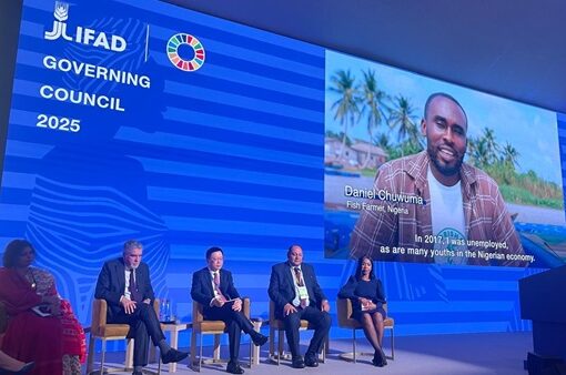 الزراعة تستعرض جهود مصر في دعم الاشقاء بدول الجنوب الجنوب خلال اجتماعات مجلس محافظي “الايفاد” في روما