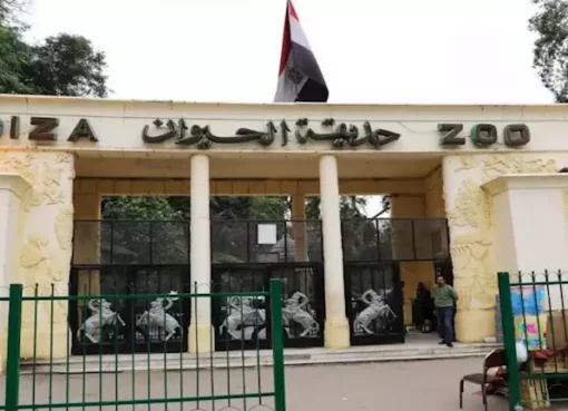 افتتاح حديقتى الحيوان والأورمان سبتمبر المقبل