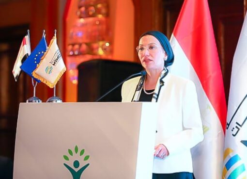 التنمية المجتمعية