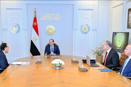 السيسي يوجه باتخاذ كل ما يلزم من إجراءات لضمان استقرار التغذية الكهربائية