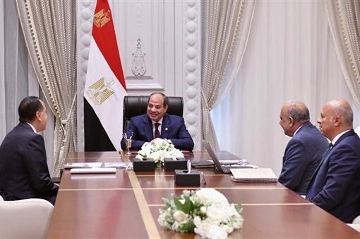 الرئيس السيسى يؤكد ضرورة تكثيف الجهود الحكومية لجذب الاستثمارات لقطاع الطاقة المتجددة